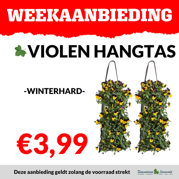 VIOLEN WANDHANGER €3,99
