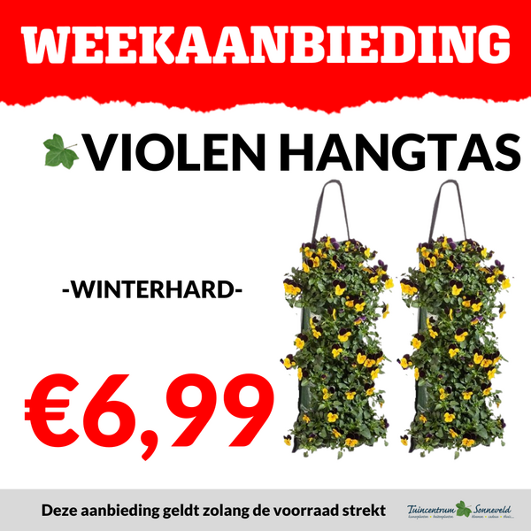 VIOLEN WANDHANGERS €6,99