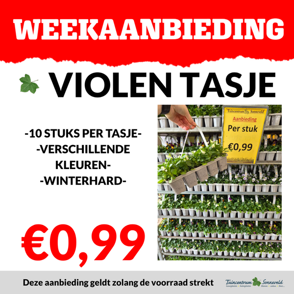 VIOLENTASJE €0,99
