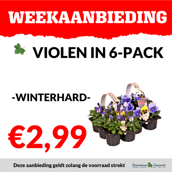 VIOOL 6-PACK €2,99