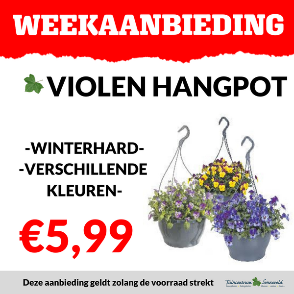 VIOOL HANGPOT €5,99