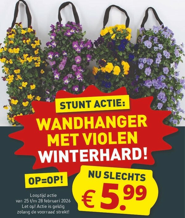 VIOOL HANGTAS €5,99