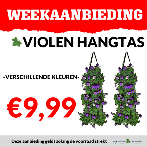 VIOOL HANGTAS €9,99