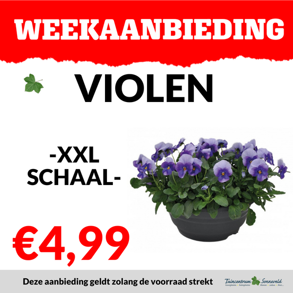 VIOOL XXL SCHAAL €4,99