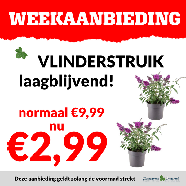 VLINDERSTRUIK