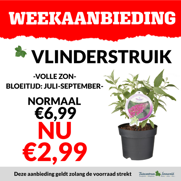 VLINDERSTRUIK €2,99