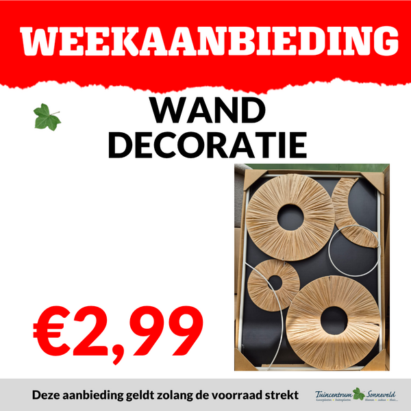 WANDDECORATIE €2,99