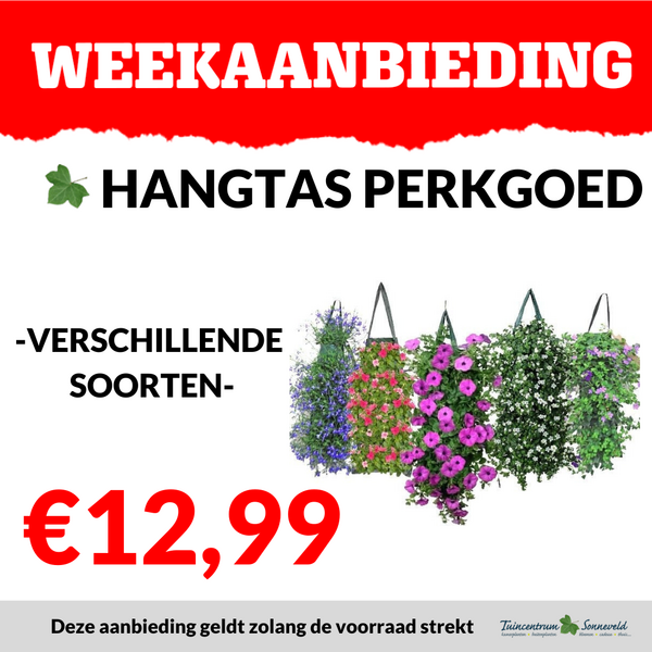 WANDHANGER €12,99
