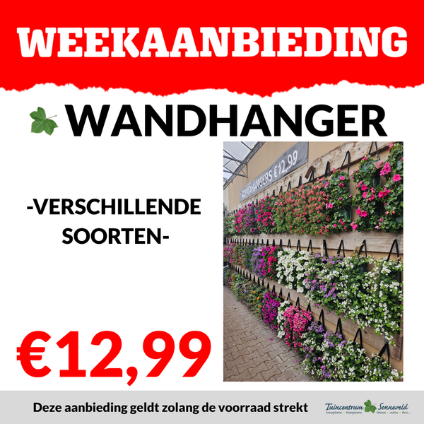 WANDHANGER €12,99
