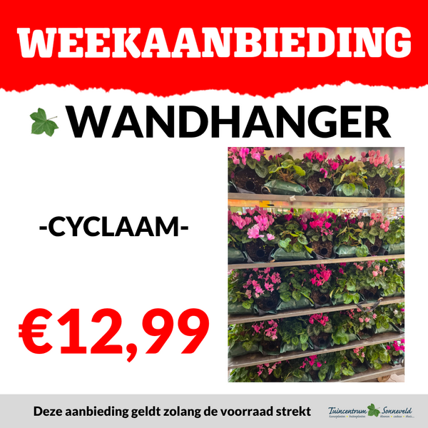 WANDHANGER €12,99