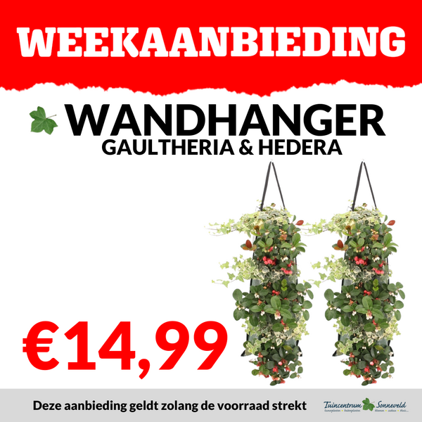 WANDHANGER €14,99