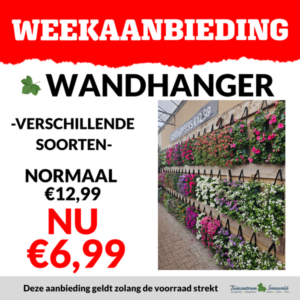 WANDHANGER PERKGOED €6,99