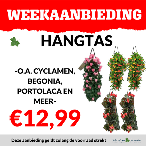 WANDHANGERS €12,99