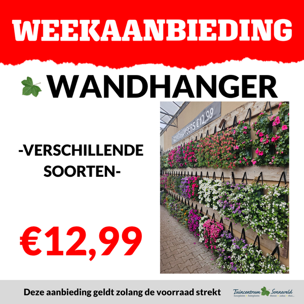 WANDHANGERS €12,99