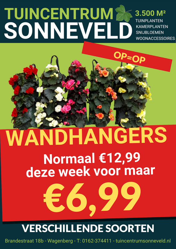 WANDHANGERS €6,99