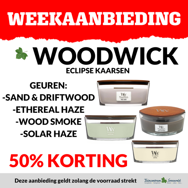 WOODWICK ECLIPSE KAARSEN