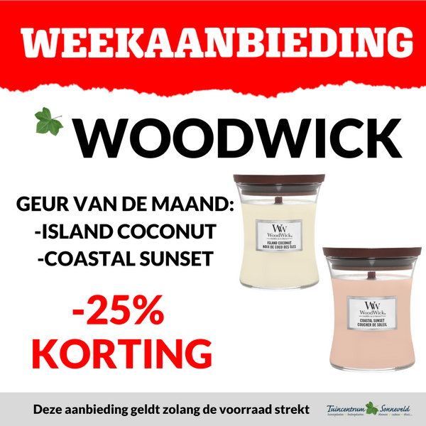 WOODWICK GEUR VAN DE MAAND