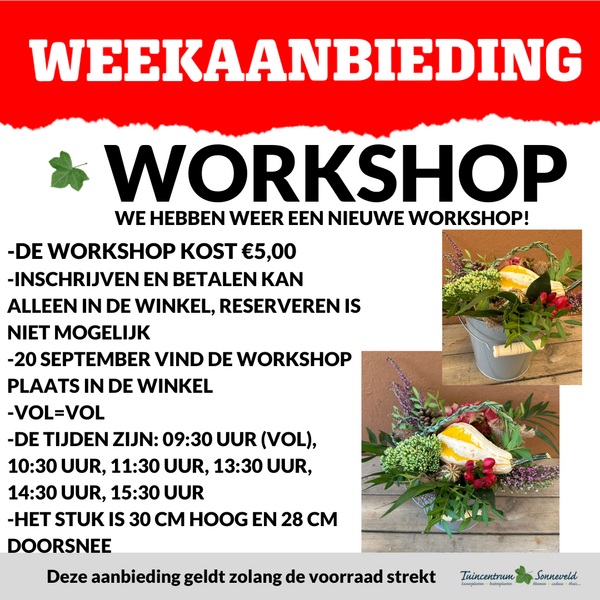 WORKSHOP