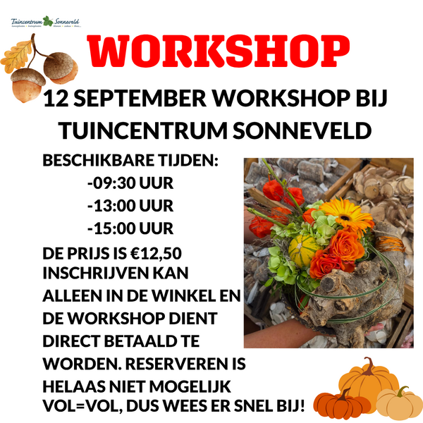 WORKSHOP