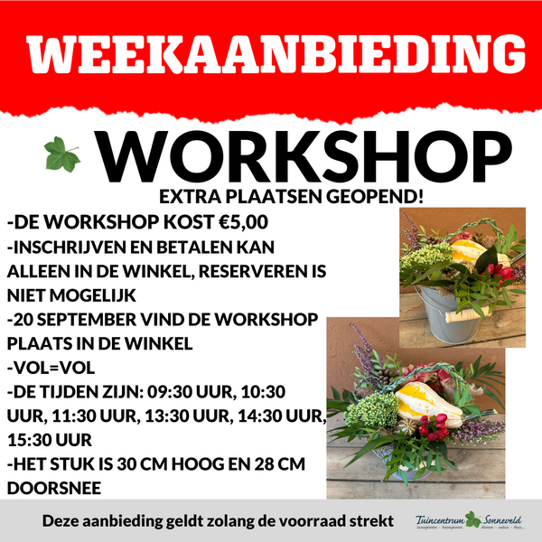WORKSHOP JUBILEUM