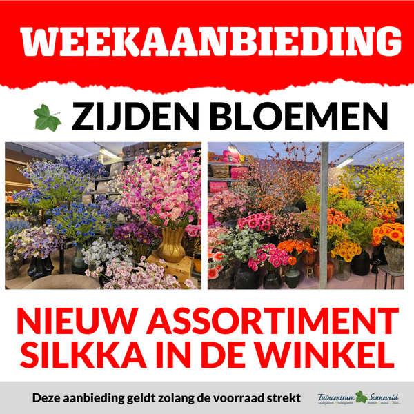 ZIJDEN NIEUW ASSORTIMENT SILKKA