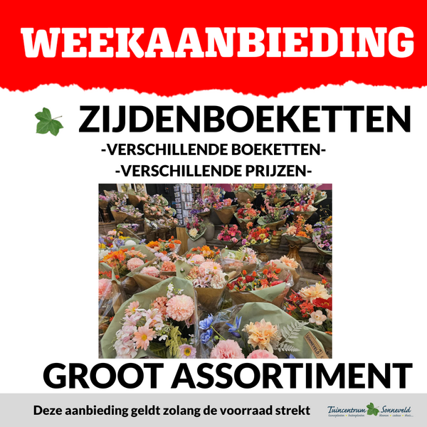 ZIJDENBOEKETTEN