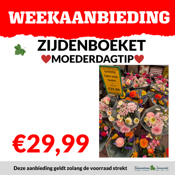ZIJDENBOEKETTEN €29,99