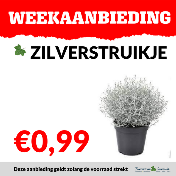 ZILVERSTRUIKJE €0,99