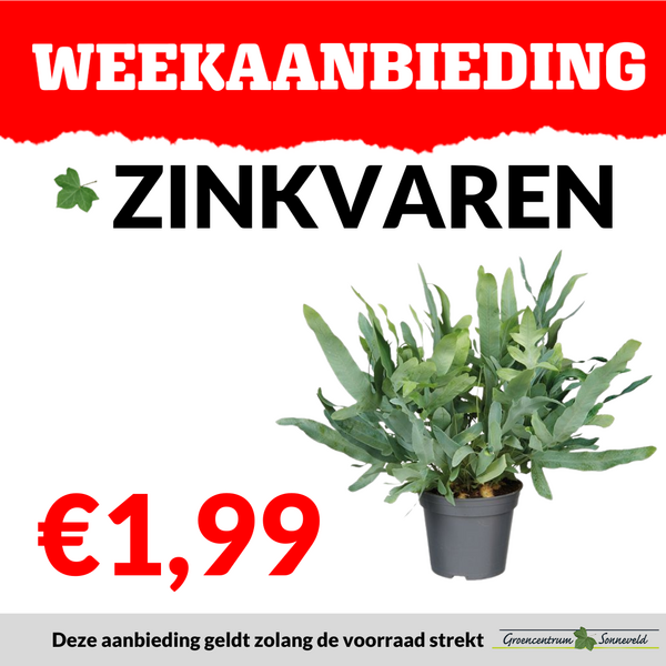 ZINKVAREN €1,99