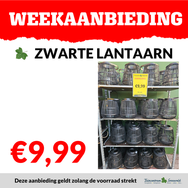 ZWARTE LANTAARN €9,99
