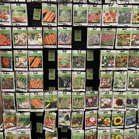 Bloembollen en zaden