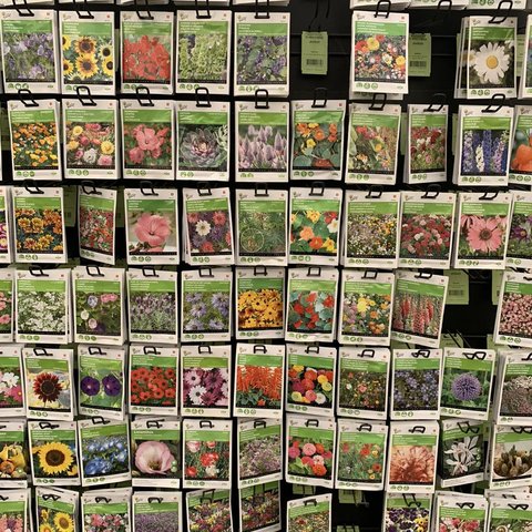 Bloembollen en zaden