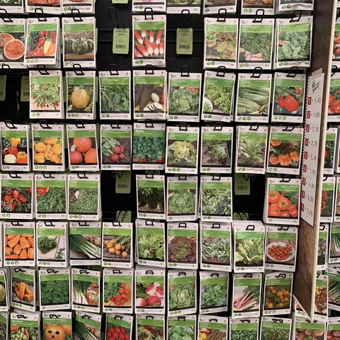 Bloembollen en zaden