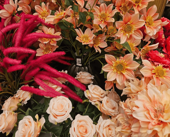 Zijdebloemen en -planten