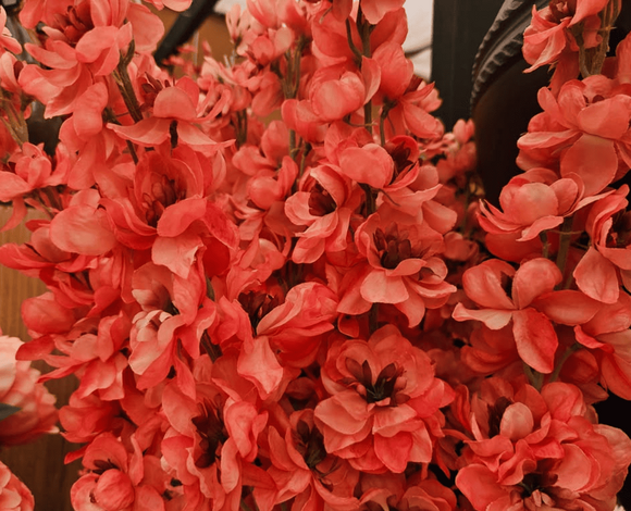 Zijdebloemen en -planten