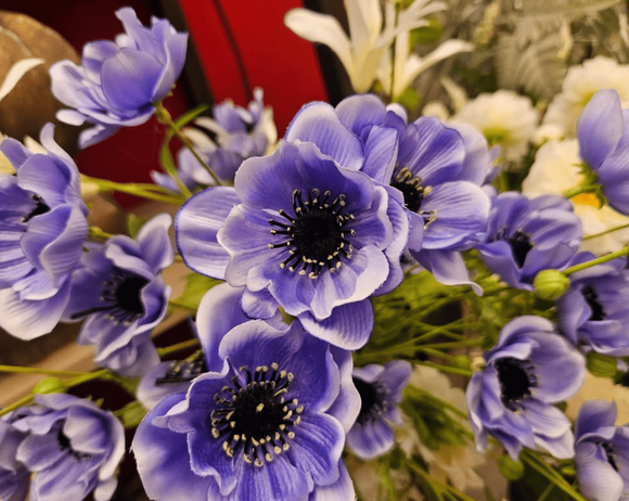 Zijdebloemen en -planten