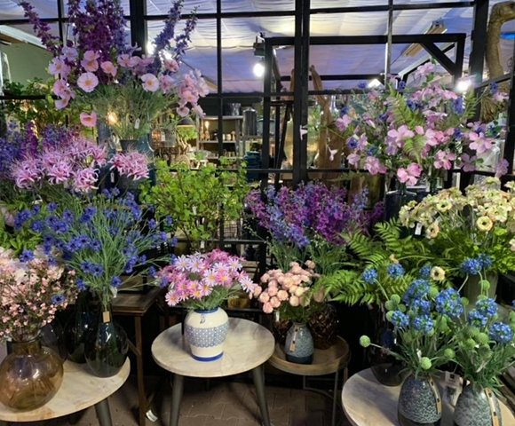 Zijdebloemen en -planten