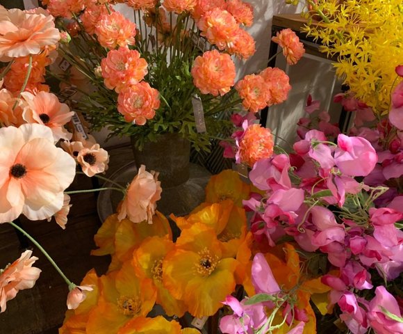 Zijdebloemen en -planten