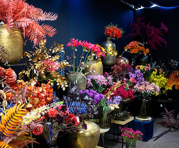 Zijdebloemen en -planten