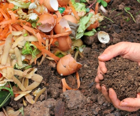 Compost